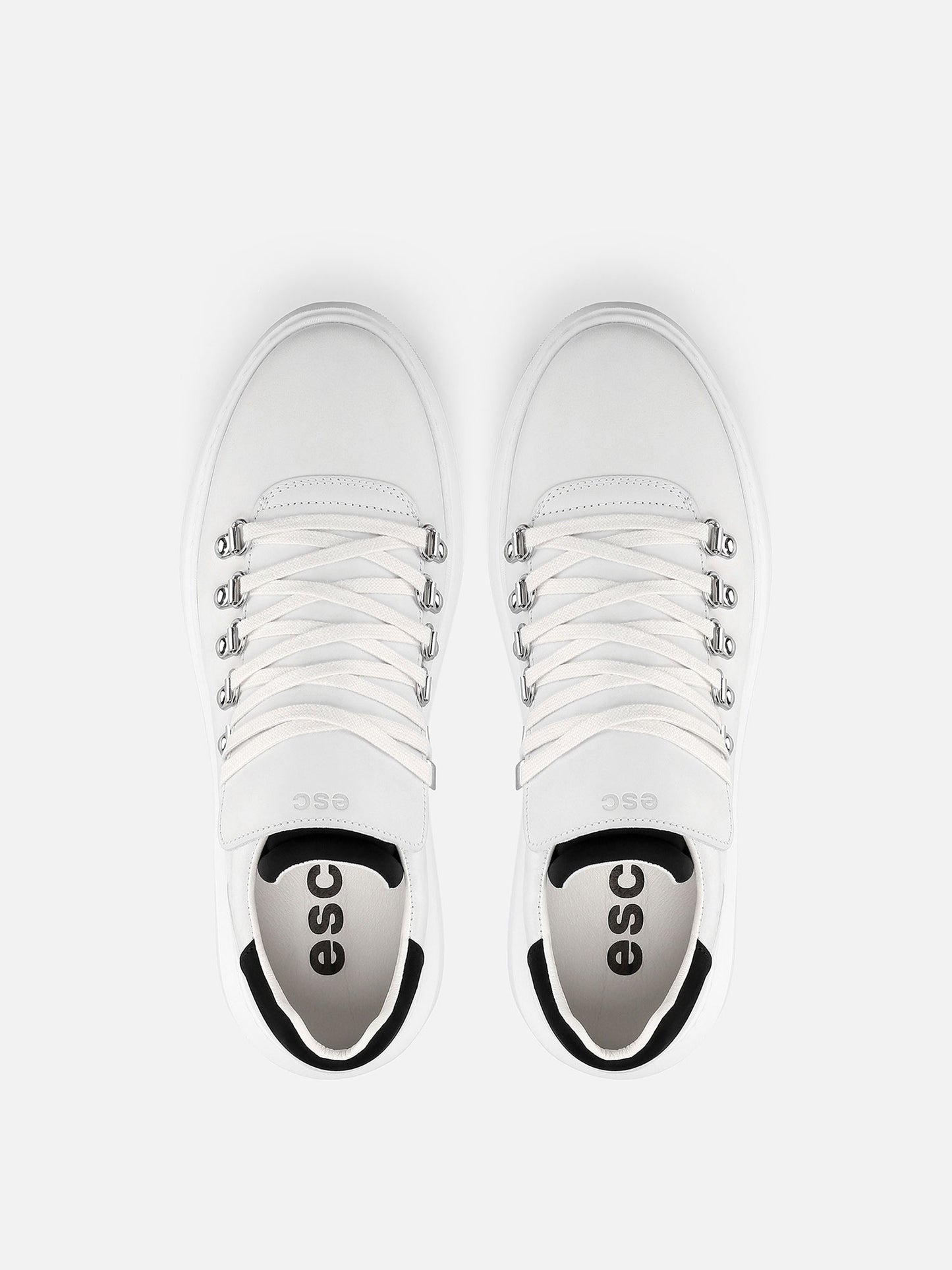 TROPHY Leather Sneakers - White